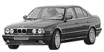 BMW E34 P2A11 Fault Code